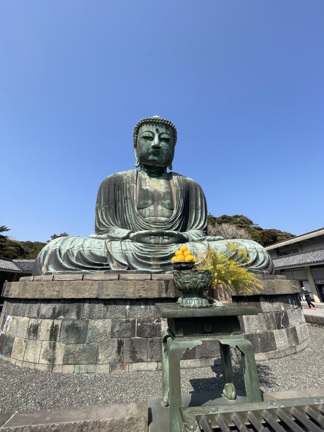 The Great Buddha of Kamakura, a large outdoor bronze statue seated in meditation under a blue sky